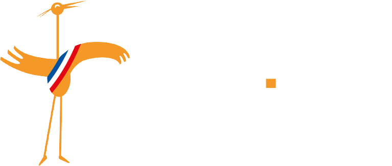 Logo de l'éditeur SynBird